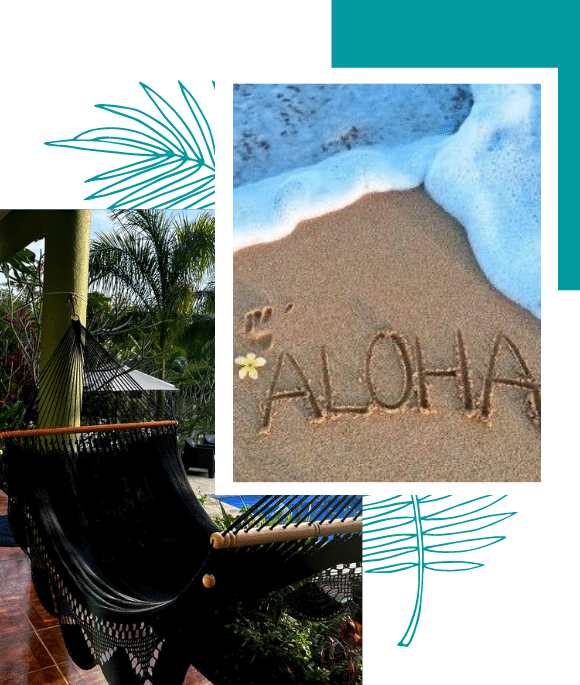 aloha rental homes nosara