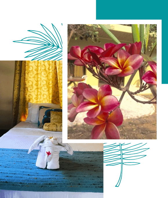 Casa Plumeria Aloha casa plumeria aloha nosara