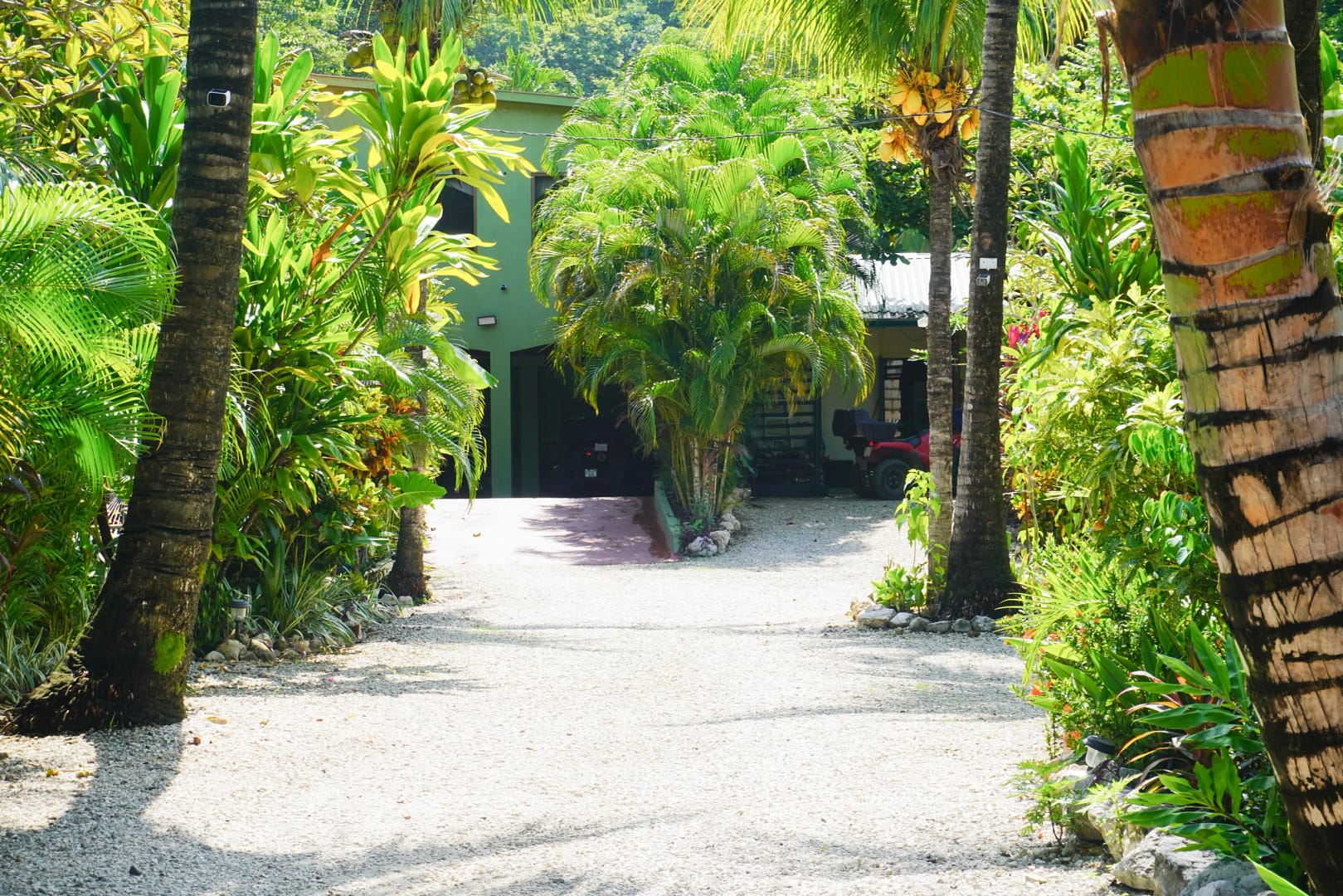 aloha surf nosara entrance