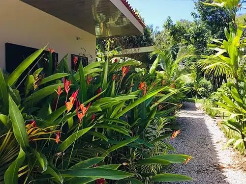 Garden aloha vacation rentals nosara