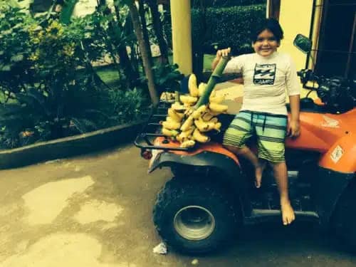 Getting Platanos aloha nosara