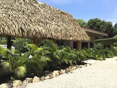 Rancho aloha nosara rancho