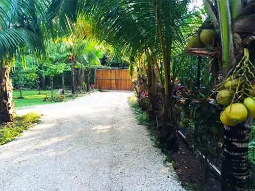 Aloha Driveway aloha rentals guiones