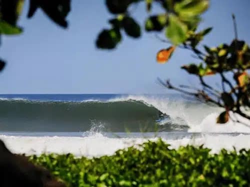 Perfect Wave guiones beach surf