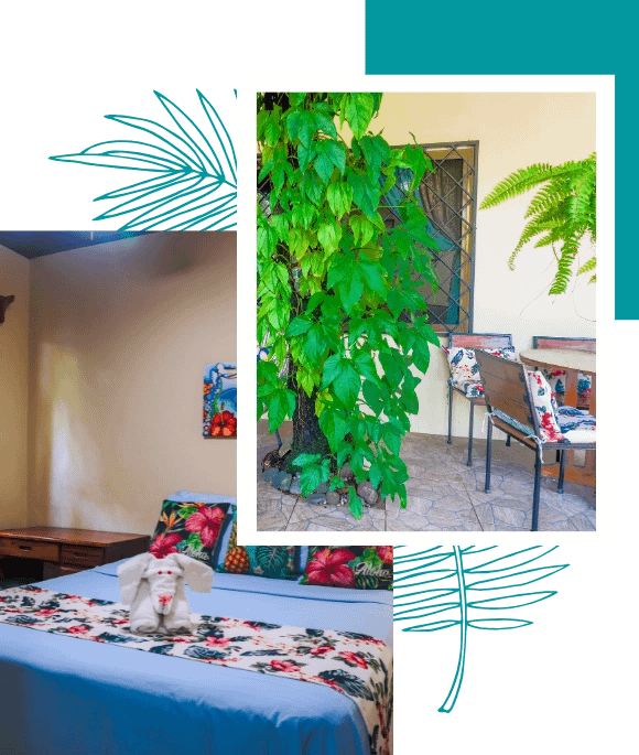 casa ohana rental nosara