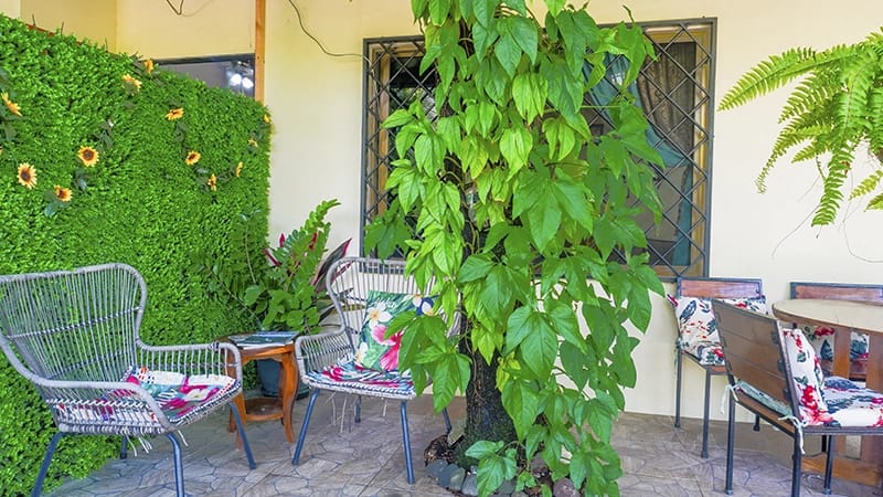 cozy vacation rentals nosara