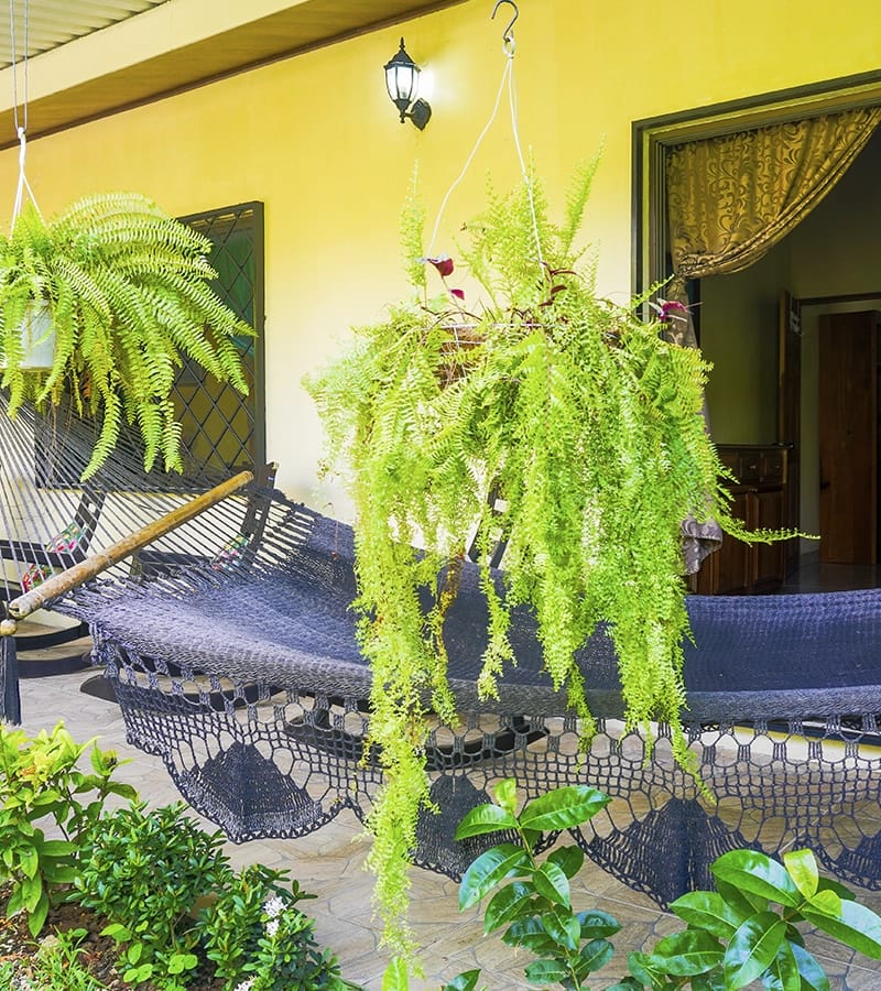 3 bedrooms vacation rentals nosara