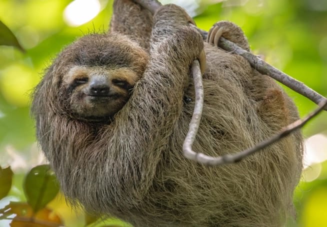 what to bring to costa rica