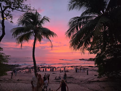 Photo from customer review