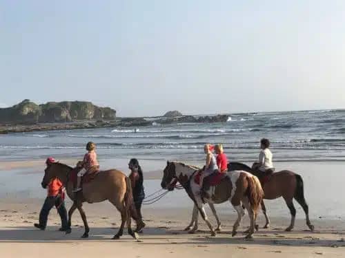 horseback riding nosara