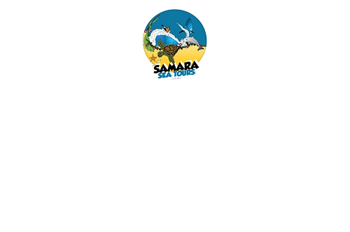 marine safari