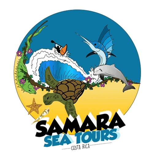 samara sea tours