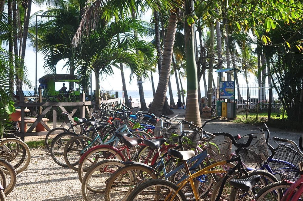 intercultura samara campus beachfront
