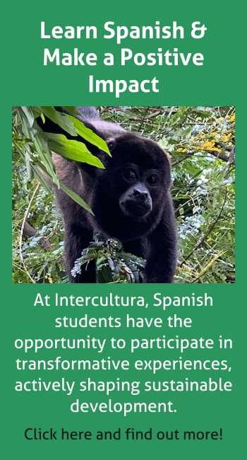 learn spanish abroad and make an impact