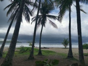 samara beach life