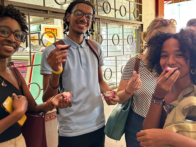 spanish immersion programs near san josé costa rica"