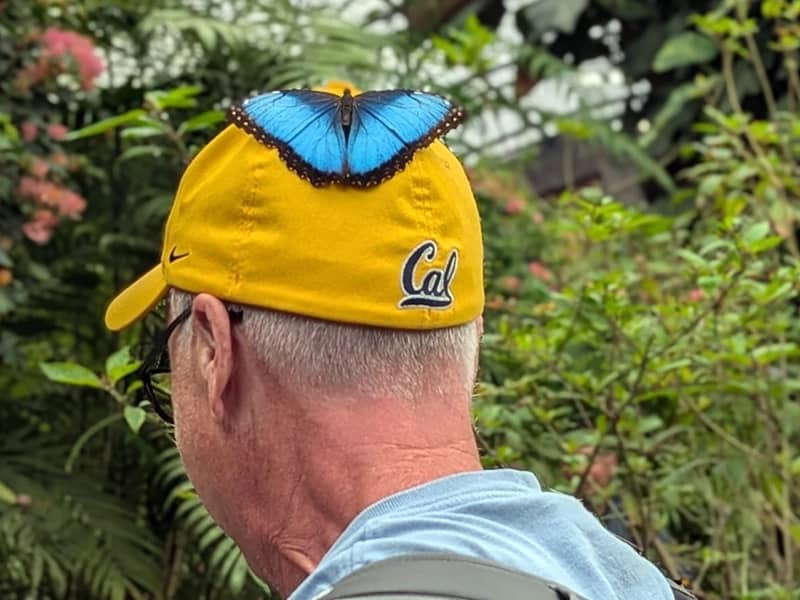 butterfly garden near Heredia"
