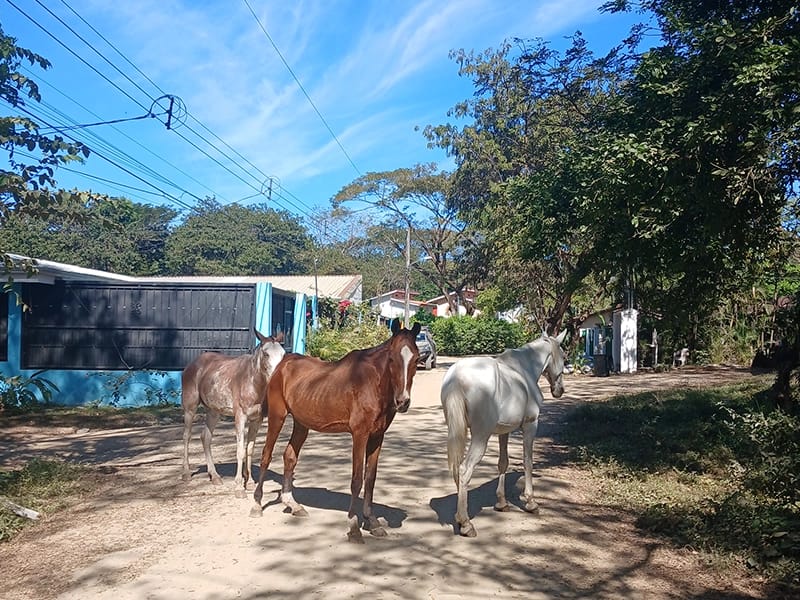 spanish immersion and yoga costa rica"