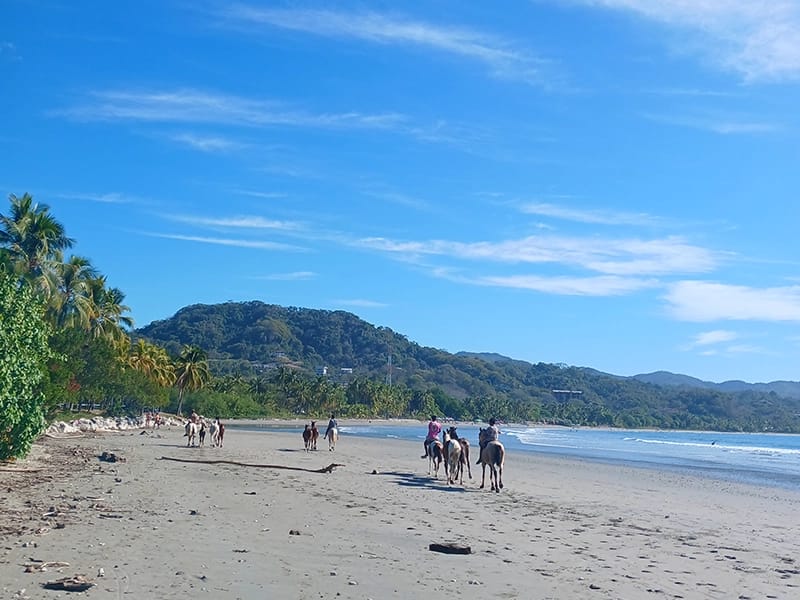 spanish learning on the beach in costa rica"