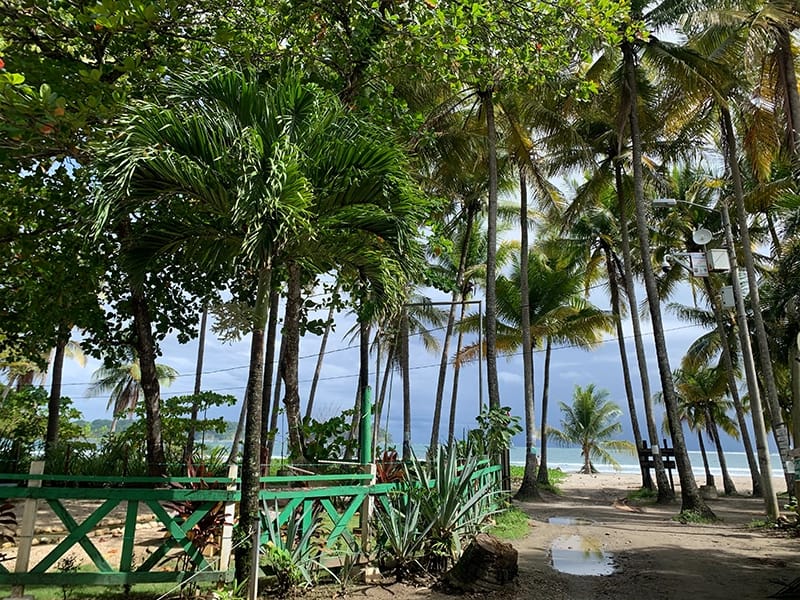 spanish learning on the beach in costa rica"