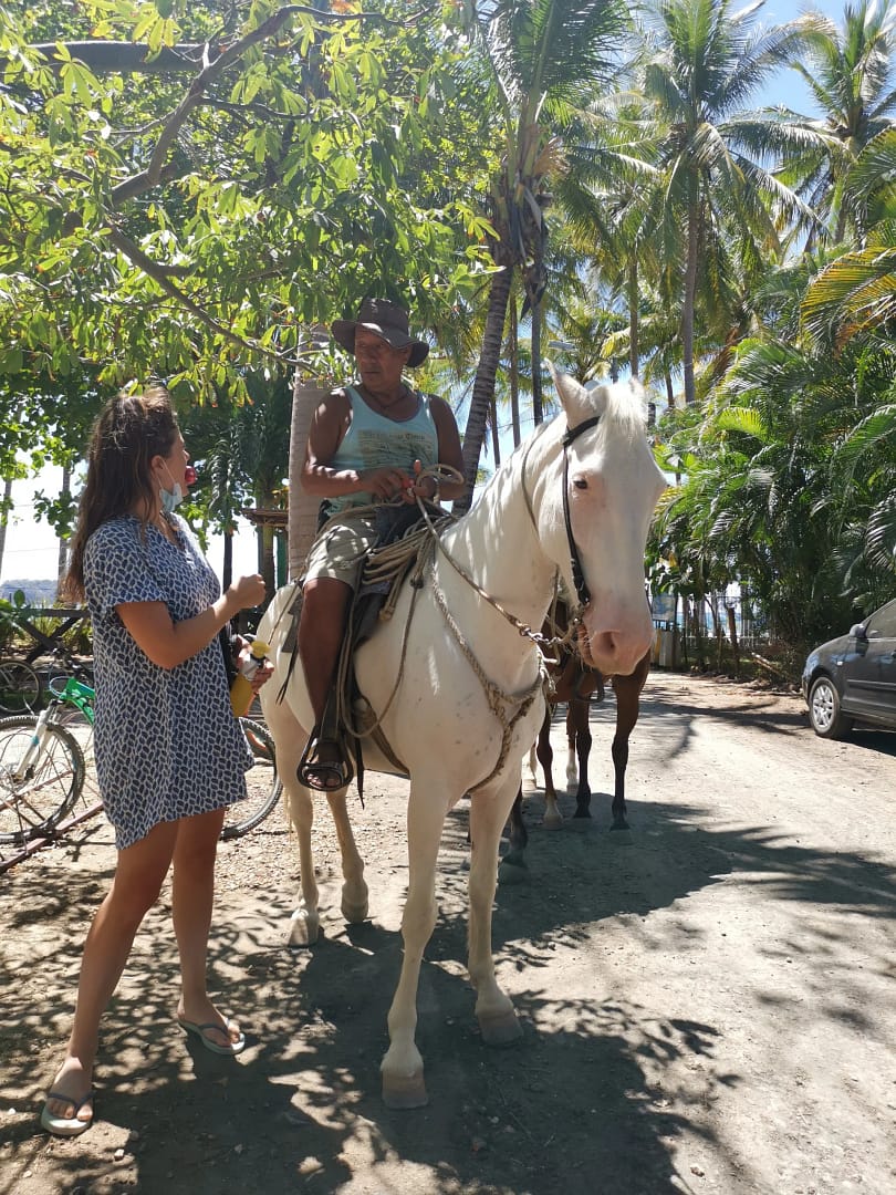 horse back riding samara