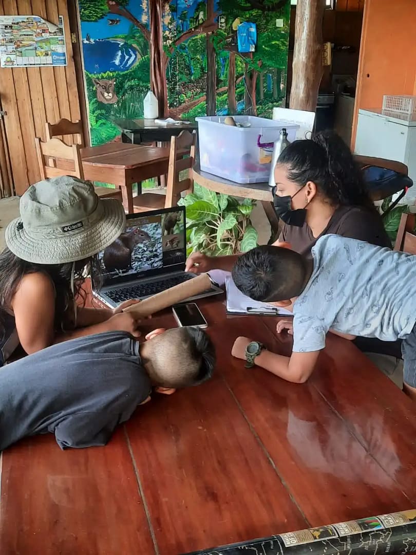 Learning about local wildlife wildlife volunteering costa rica
